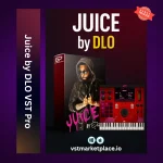 Juice by DLO VST – Smooth R&B & Hip-Hop Instrument